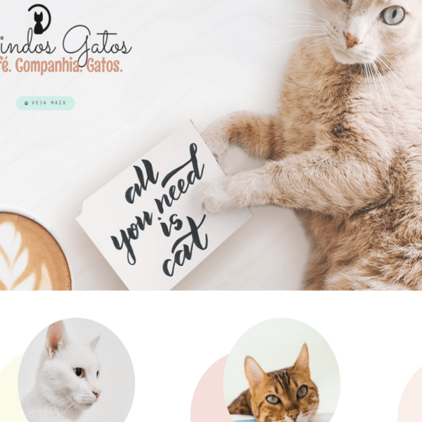 Site de gatos